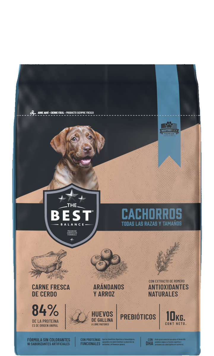 The Best cachorros