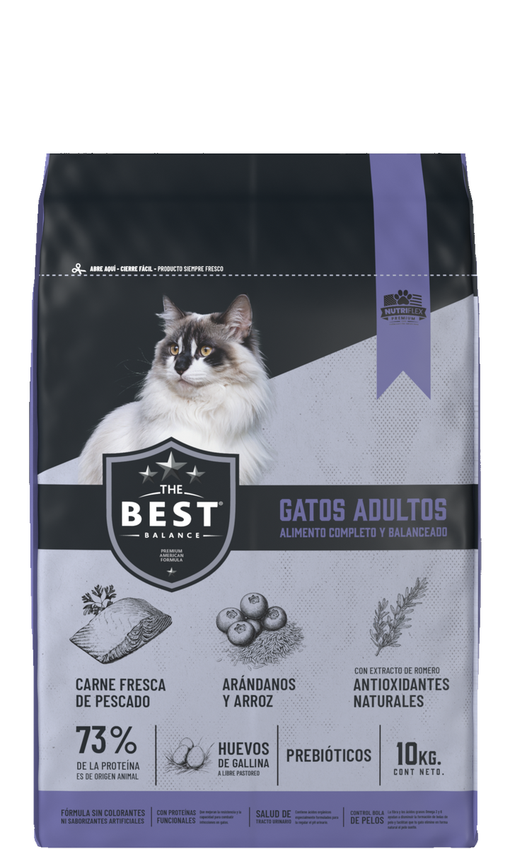 The Best gatos adultos