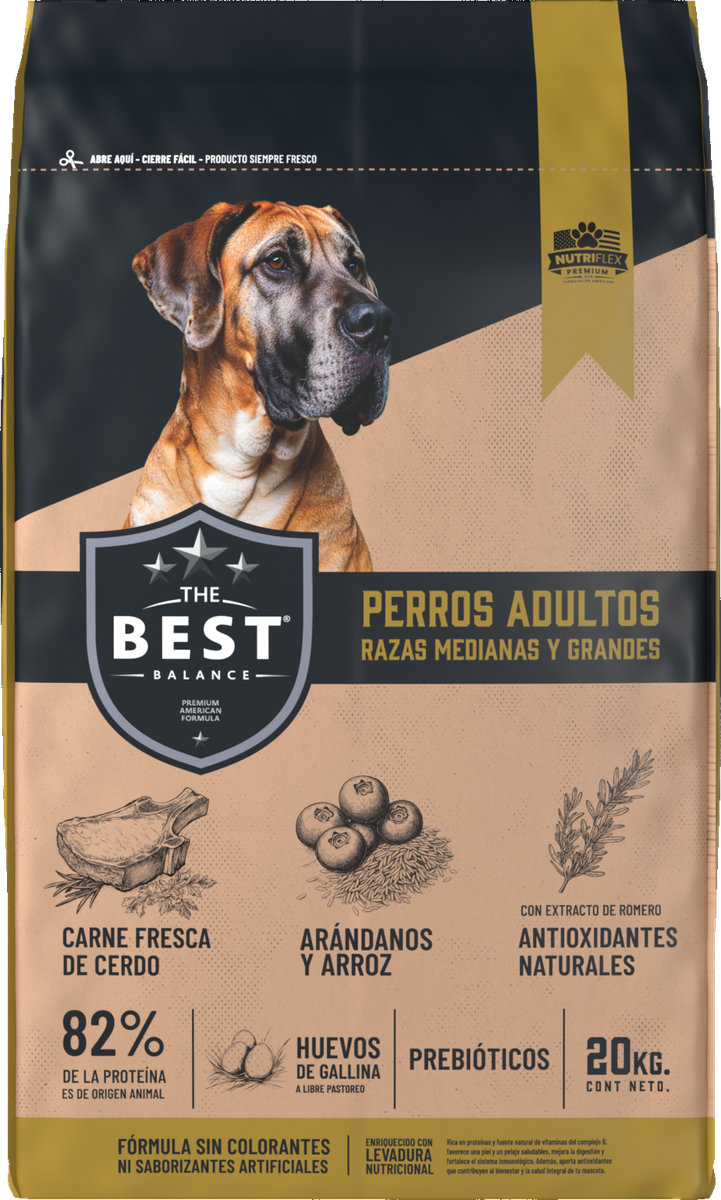 The Best perros adultos razas medianas y grandes