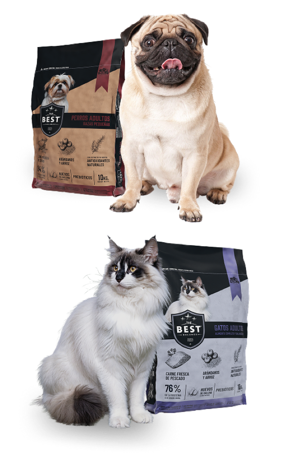 Los productos The Best con perro y gato