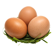 Huevos de gallina a libre pastoreo